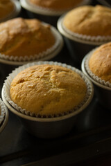 Macro photography of muffins fresh from the oven. 