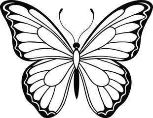 butterfly silhouette vector