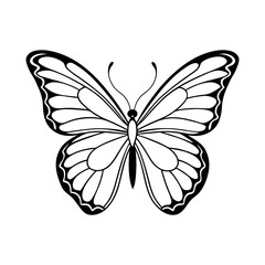 butterfly silhouette vector