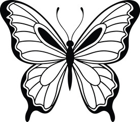 butterfly silhouette vector