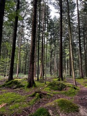 Fototapeta premium Landschaft