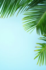 Fototapeta premium Coconut tree leaf abstract with copy space background
