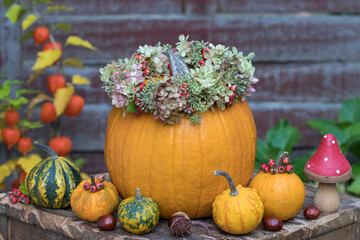 Herbst-Arrangement mit orange K&uuml;rbissen dekoriert mit Blumenkranz
