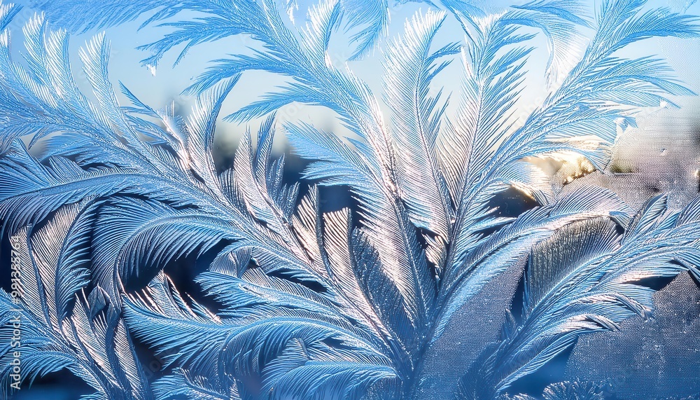 Poster Intricate Frost Patterns on a Windowpane. Delicate Ice Feathers and Snowflakes Against a Soft Blue Winter Morning Sky