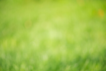 Abstract defocus light background. Defocused green grass.
