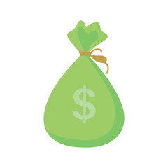 money bag color flat vector design