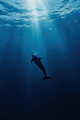 Fototapeta premium dolphin swimming in deep sea