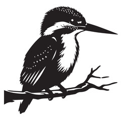 Kingfisher birds silhouette victor illustration file