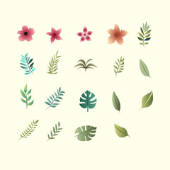 Fototapeta premium set of collection pink floral flower vector IIlustrations for elements, clipart, sticker