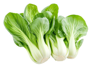 a group of green vegetables