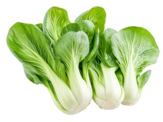 a group of green vegetables