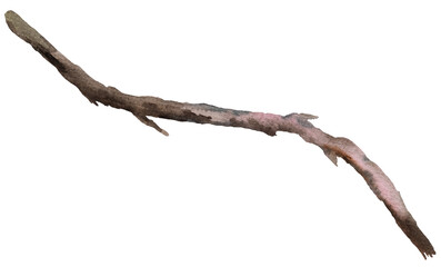  Watercolor brown defoliated tree branch, Rustic or Boho Wedding isolated illustration
