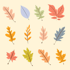 Obraz premium set of collection autumn leaves vector