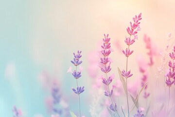 Naklejka premium Pastel background with soft shades of pink, mint, and lavender, creating a gentle, calming atmosphere