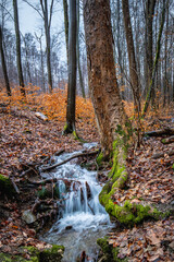 Little stream in the autumn forest with the waterfall and the orange foliage 