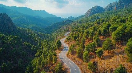 Fototapeta premium Serene Aerial Perspective of Twisting Mountain Road Surrounded by Lush Pine Forest