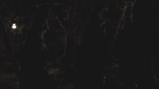 Demonic monks walk in a dark and spooky forest on a Halloween night