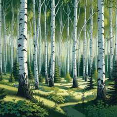 forest filled with birch trees illustration 