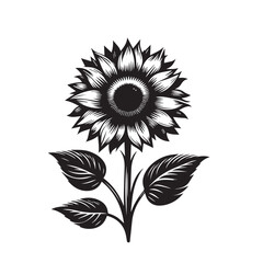 Fototapeta premium Sunflower silhouette vector design. Sunflower logo, icon black and white. Sunflower vector illustration.