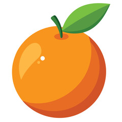 Orange fruit illustration on white background.