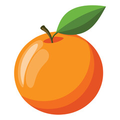 Orange fruit illustration on white background.