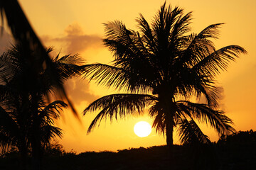 Obraz premium Sunset and silhouettes of coconut palm trees on tropical beach, background for vacation and travel