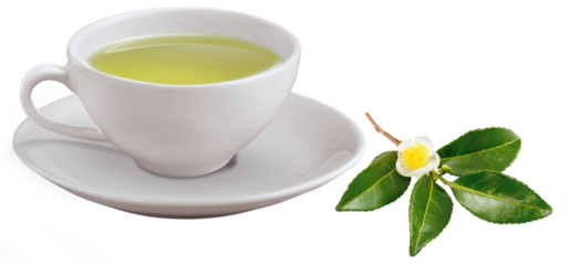 xícara de chá verde acompanhado folha de chá fresca isolado em fundo transparente