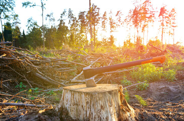 Deforestation. Axe in stump for cutting timber in forest. Illegal logging. Forests illegal disappearing. Deforestation, timber logging. Lumberjack axe for chopping timber. Ax for chopping wood.
