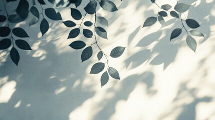 Elegant shadows of leaves softly cast on a light background, creating a peaceful and serene atmosphere for nature lovers.