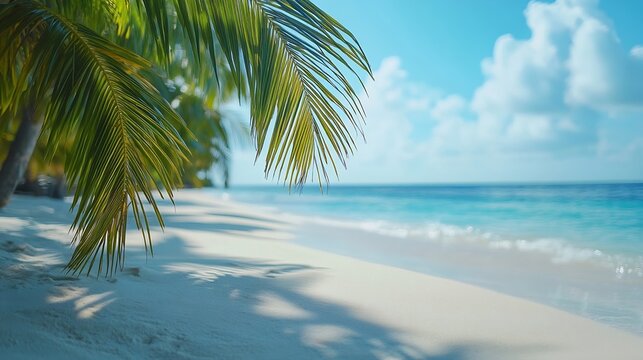 Maldives Islands Ocean Tropical Beach : Generative AI