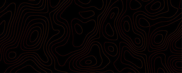 Abstract Topography Set A Collection of Black Color Vector Maps with Wavy Lines and Geographic Contour Patterns for Copy Space Templates
