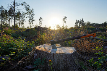 Deforestation. Axe in stump for cutting timber in forest. Illegal logging. Forests illegal...