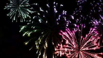 Animation colorful fireworks on black background. - Powered by Adobe