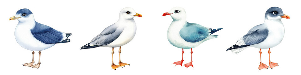Obraz premium Illustration of Mew gulls in various poses, isolated on transparent background