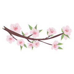 Sakura tree branch in flat design. Pink cherry blossoms and bud on twig. Vector illustration isolated.
