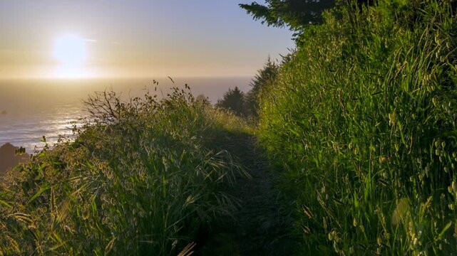 Dirt path overgrown with grass, sun breaks through the grass. Walking nature hiking trail, Oregon coast, Uniten States. Sunset view of Pacific Ocean coast at background. Gimbal HDR shot