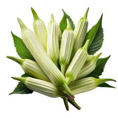 Obraz premium lily of the valley