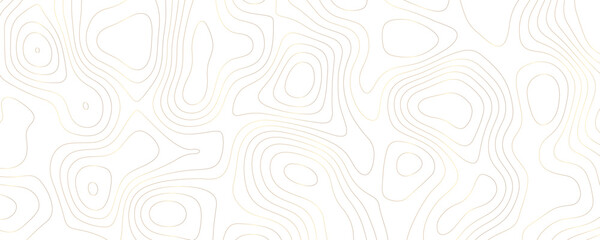 Luxury Terrain Map Illustration Wavy Geometric Contours with Gold Line Patterns and Organic Shapes in a Digital Topographic Design