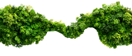 Top view, A lush green landscape with diverse trees isolate on transparent background, png, cutout
