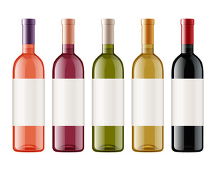 wine bottle. set. isolated on the white background. vector