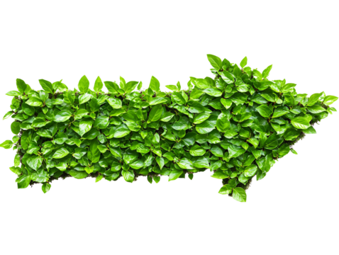 a green leaves in the shape of a arrow - Powered by Adobe