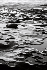 Black and White Abstract Texture of La Jolla Tide Pools Resembling Moon Surface