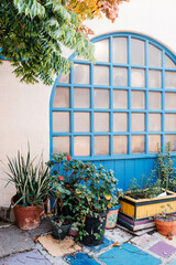 Large Arched Blue Window with Green Plants and Natural Light