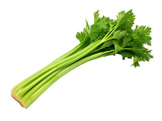 a bunch of celery on a white background