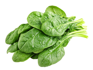 a bunch of spinach leaves