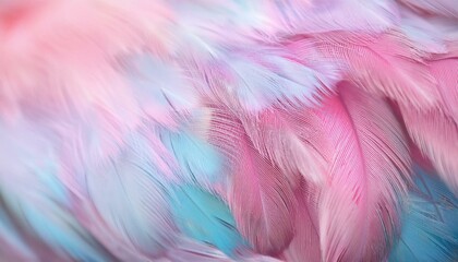 Obraz premium Pastel colored of chicken feathers in soft and blur style for the background