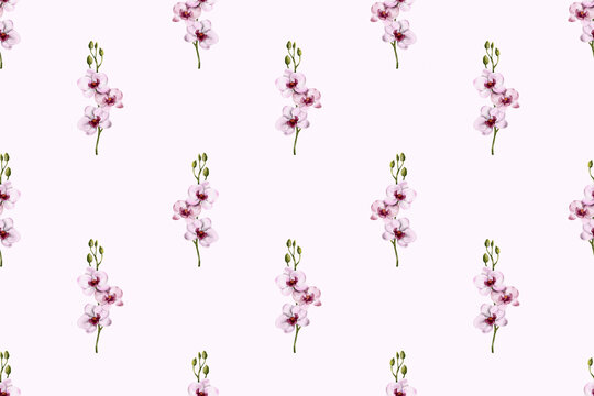 watercolor seamless pattern of orchid flowers. 
pink Phalaenopsis