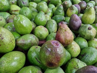 avocado fruit sold in the market