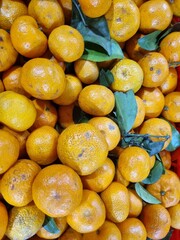 oranges at the market