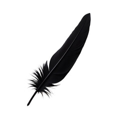 Dark crow feather on white backdrop perfect for Halloween themes
